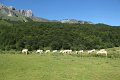 (86) Au plateau de Sanchèse